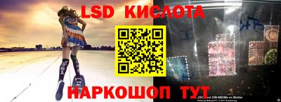 ГАЛЛЮЦИНОГЕННЫЕ ГРИБЫ Будённовск