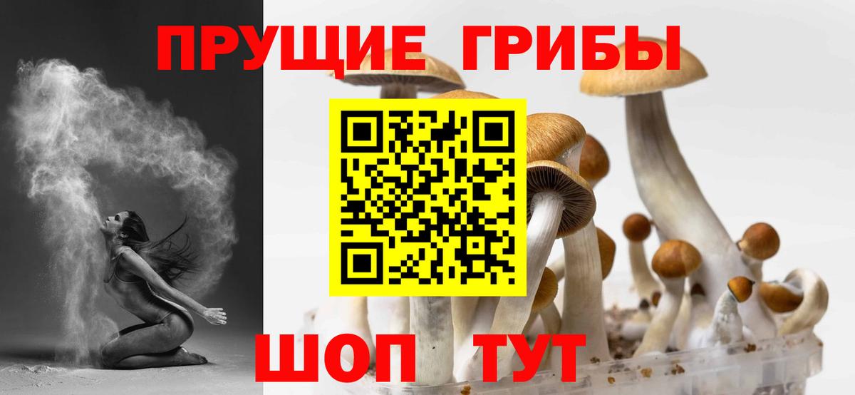 Галлюциногенные грибы ЛСД  Вход с VPN  Псилоцибиновые грибы GOLDEN TEACHER  Ликино-Дулёво 