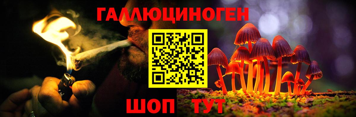 Галлюциногенные грибы Cubensis Ликино-Дулёво